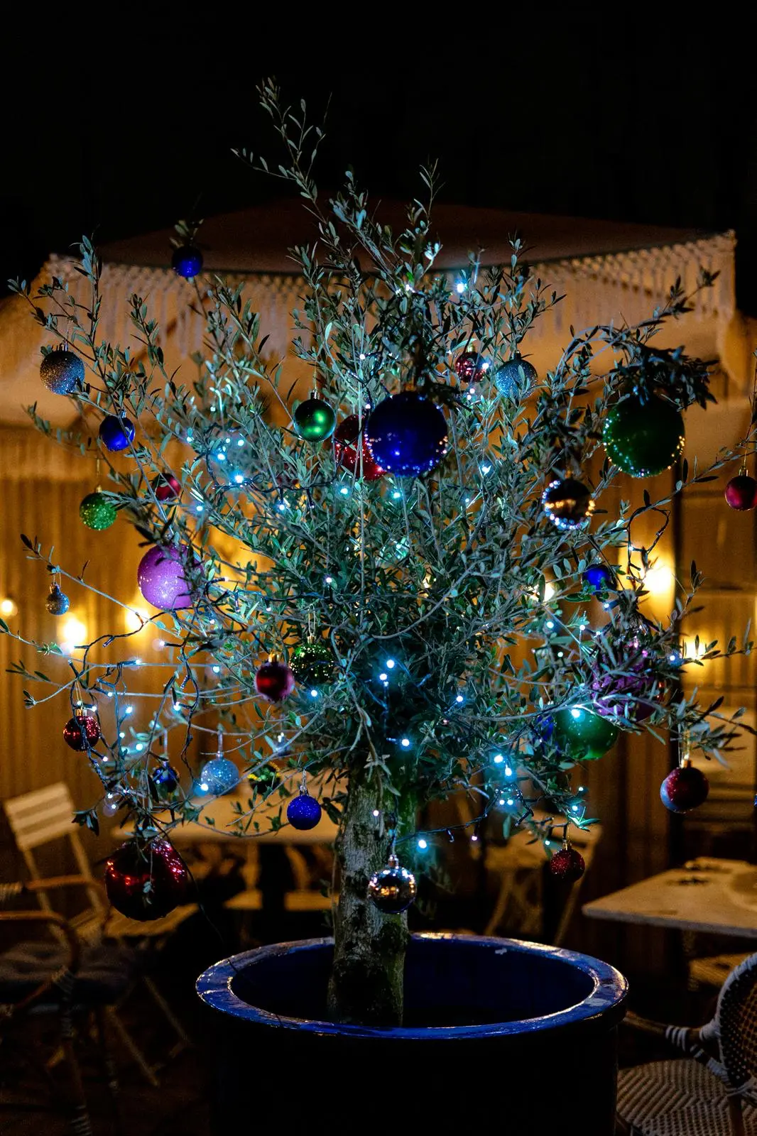 Olive tree decorated with baubles and fairy lights on a restaurant terrace